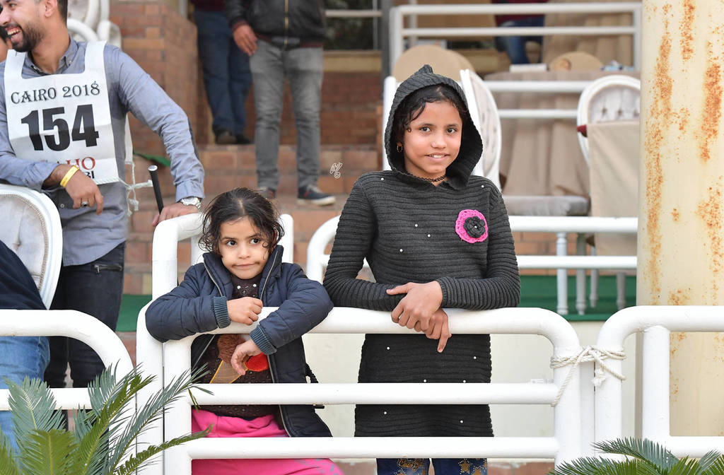 Lisa Abraham: The AHO Breeders' Championship in Egypt Photo Gallery