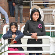 Lisa Abraham: The AHO Breeders' Championship in Egypt Photo Gallery