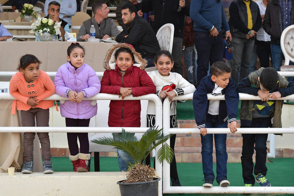 Lisa Abraham: The AHO Breeders' Championship in Egypt Photo Gallery