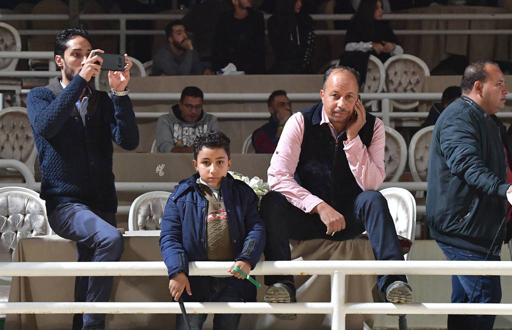 Lisa Abraham: The AHO Breeders' Championship in Egypt Photo Gallery