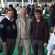 Lisa Abraham: The AHO Breeders' Championship in Egypt Photo Gallery