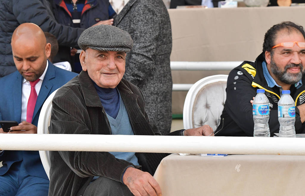 Lisa Abraham: The AHO Breeders' Championship in Egypt Photo Gallery