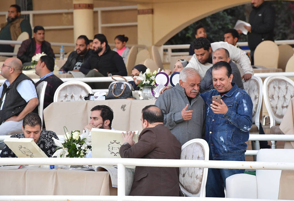 Lisa Abraham: The AHO Breeders' Championship in Egypt Photo Gallery