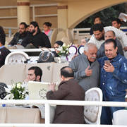 Lisa Abraham: The AHO Breeders' Championship in Egypt Photo Gallery