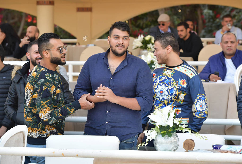 Lisa Abraham: The AHO Breeders' Championship in Egypt Photo Gallery