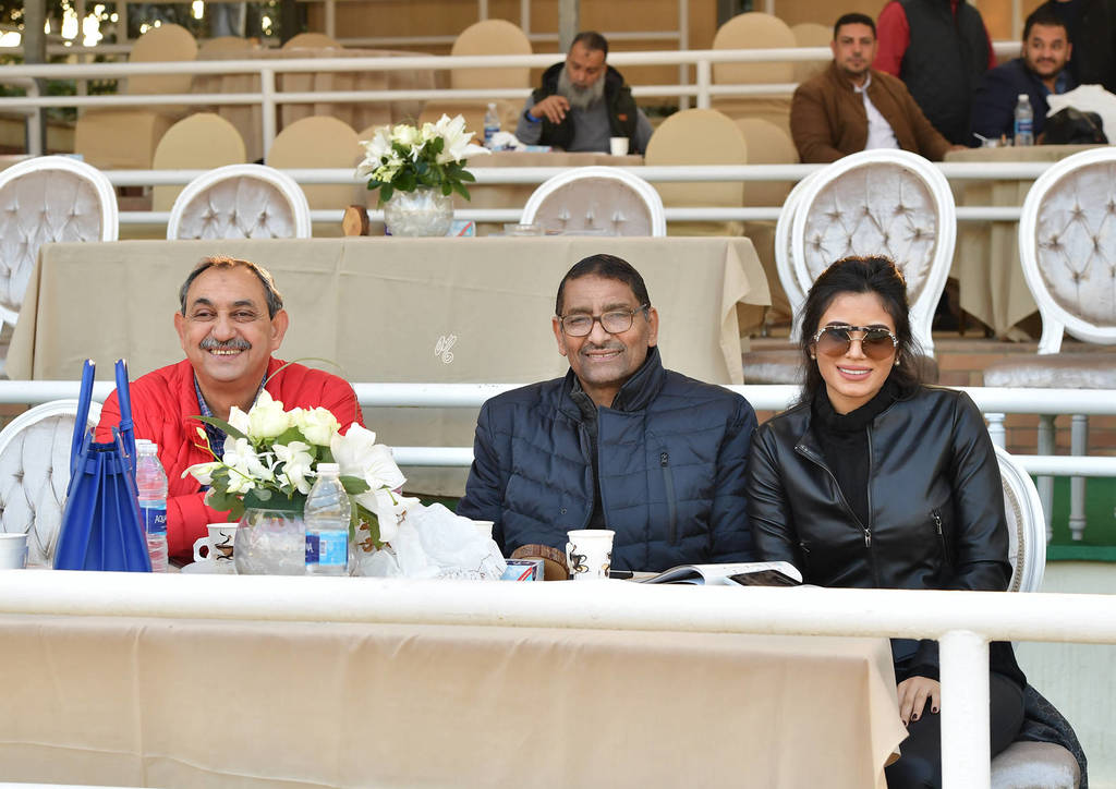 Lisa Abraham: The AHO Breeders' Championship in Egypt Photo Gallery