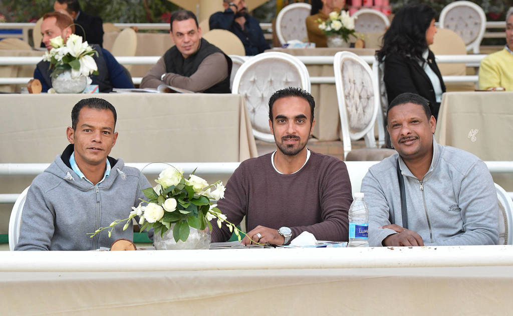 Lisa Abraham: The AHO Breeders' Championship in Egypt Photo Gallery