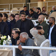 Lisa Abraham: The AHO Breeders' Championship in Egypt Photo Gallery