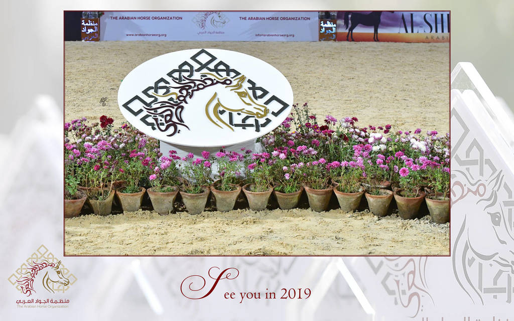 Lisa Abraham: The AHO Breeders' Championship in Egypt Photo Gallery