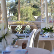 Rabab Stud in Cairo, Egypt ~ owned by Sheikh Khaled bin Laden