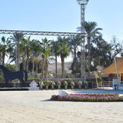 Rabab Stud in Cairo, Egypt ~ owned by Sheikh Khaled bin Laden