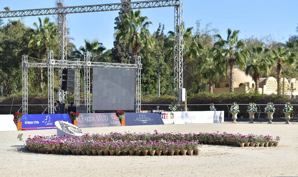 Rabab Stud in Cairo, Egypt ~ owned by Sheikh Khaled bin Laden