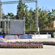 Rabab Stud in Cairo, Egypt ~ owned by Sheikh Khaled bin Laden