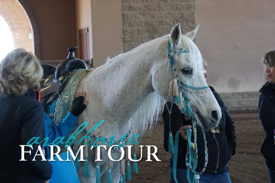 2018 - 2019 Farm Tours