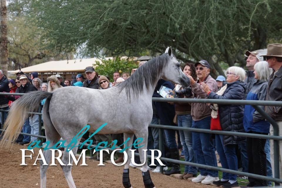 2018 - 2019 Farm Tours