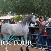 2018 - 2019 Farm Tours