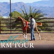 2018 - 2019 Farm Tours