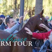 2018 - 2019 Farm Tours