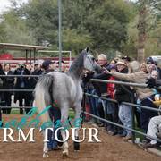 2018 - 2019 Farm Tours