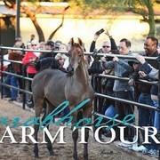 2018 - 2019 Farm Tours