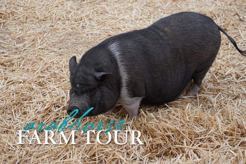 2018 - 2019 Farm Tours