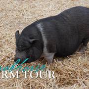 2018 - 2019 Farm Tours