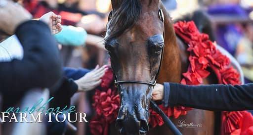 2018 - 2019 Farm Tours