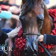 2018 - 2019 Farm Tours