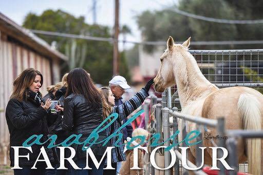 2018 - 2019 Farm Tours