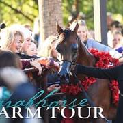 2018 - 2019 Farm Tours