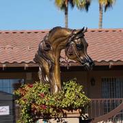 2018 - 2019 Farm Tours