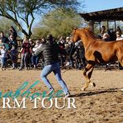 2018 - 2019 Farm Tours