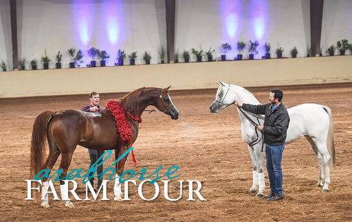 2018 - 2019 Farm Tours