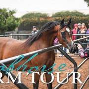 2018 - 2019 Farm Tours
