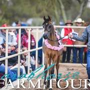 2018 - 2019 Farm Tours