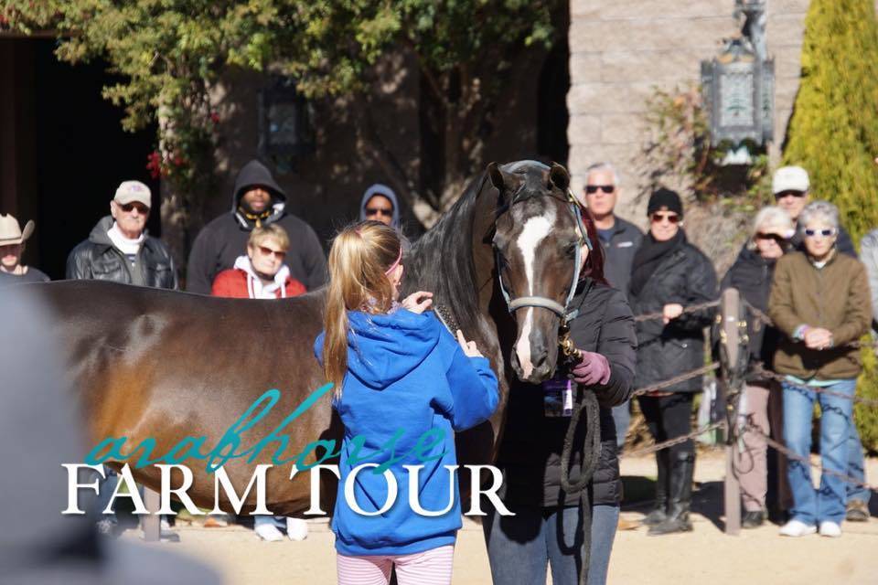 2018 - 2019 Farm Tours