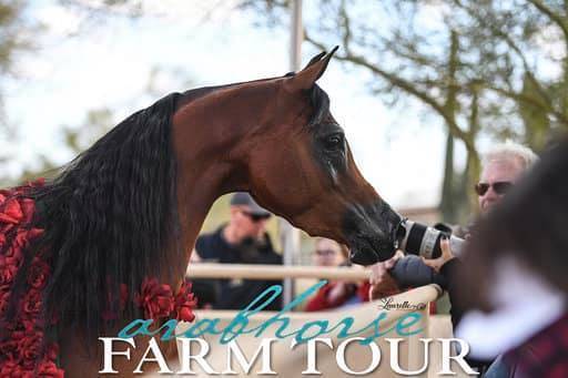 2018 - 2019 Farm Tours