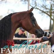 2018 - 2019 Farm Tours