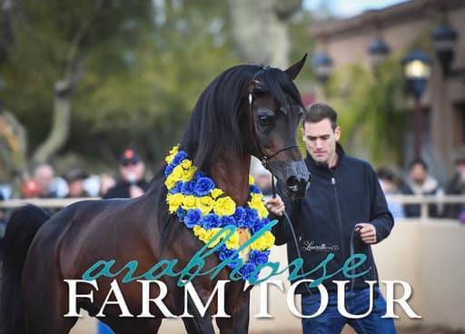 2018 - 2019 Farm Tours