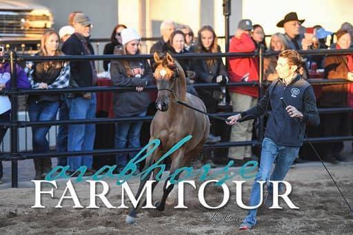 2018 - 2019 Farm Tours