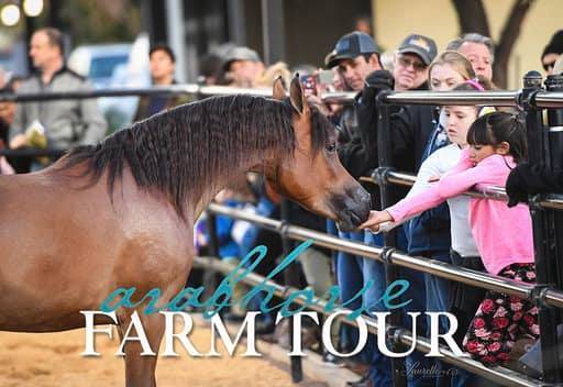 2018 - 2019 Farm Tours