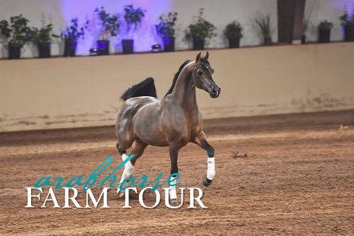 2018 - 2019 Farm Tours