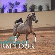 2018 - 2019 Farm Tours