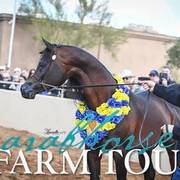 2018 - 2019 Farm Tours
