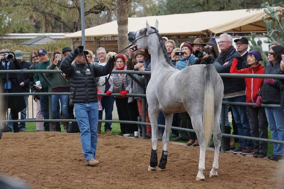 2018 - 2019 Farm Tours