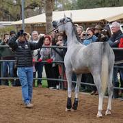 2018 - 2019 Farm Tours
