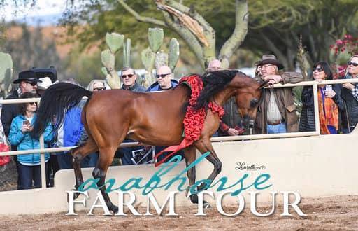 2018 - 2019 Farm Tours