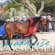 2018 - 2019 Farm Tours