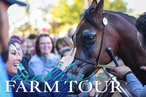 2018 - 2019 Farm Tours