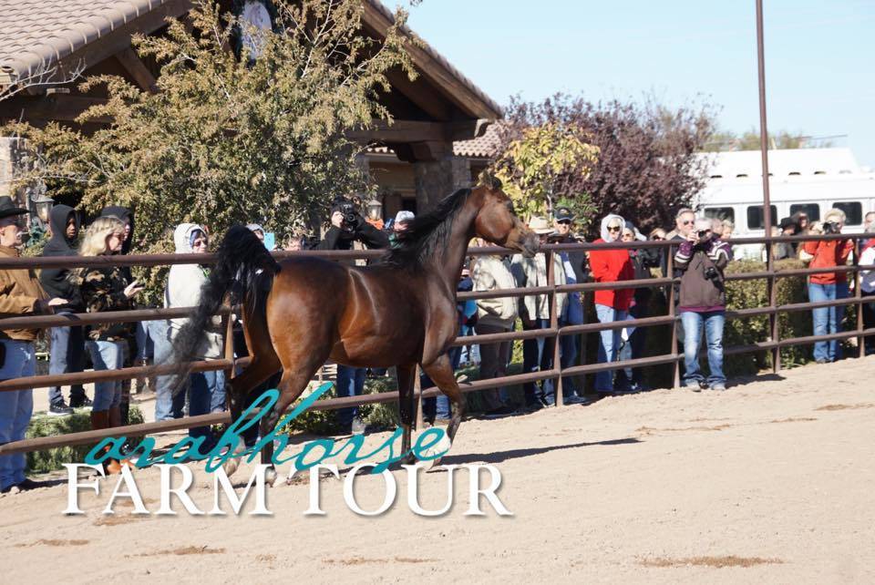 2018 - 2019 Farm Tours